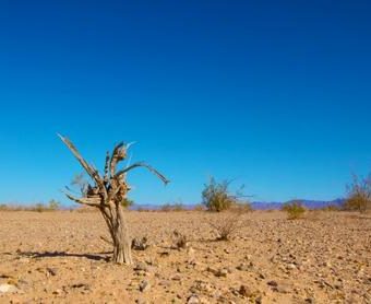 12 years to save the planet – or fiddle while Rome burns